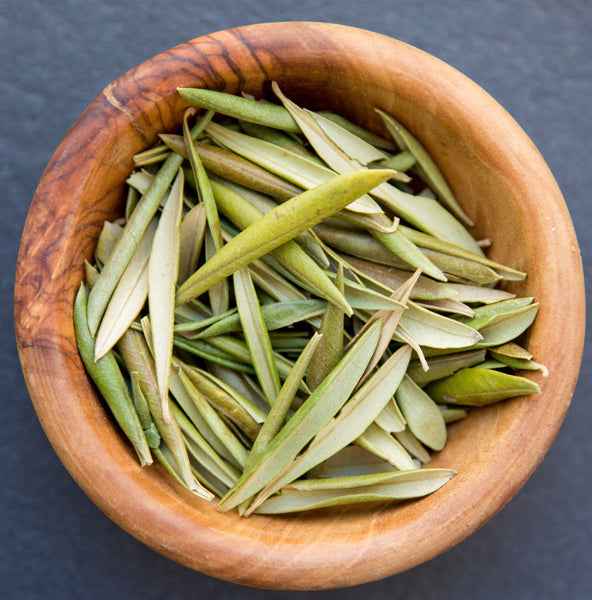 Olive Leaf, Loose Leaf Tea